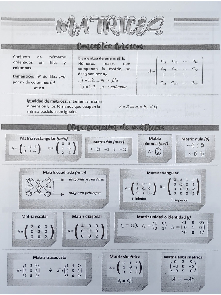 1 Matrices Teoría | PDF