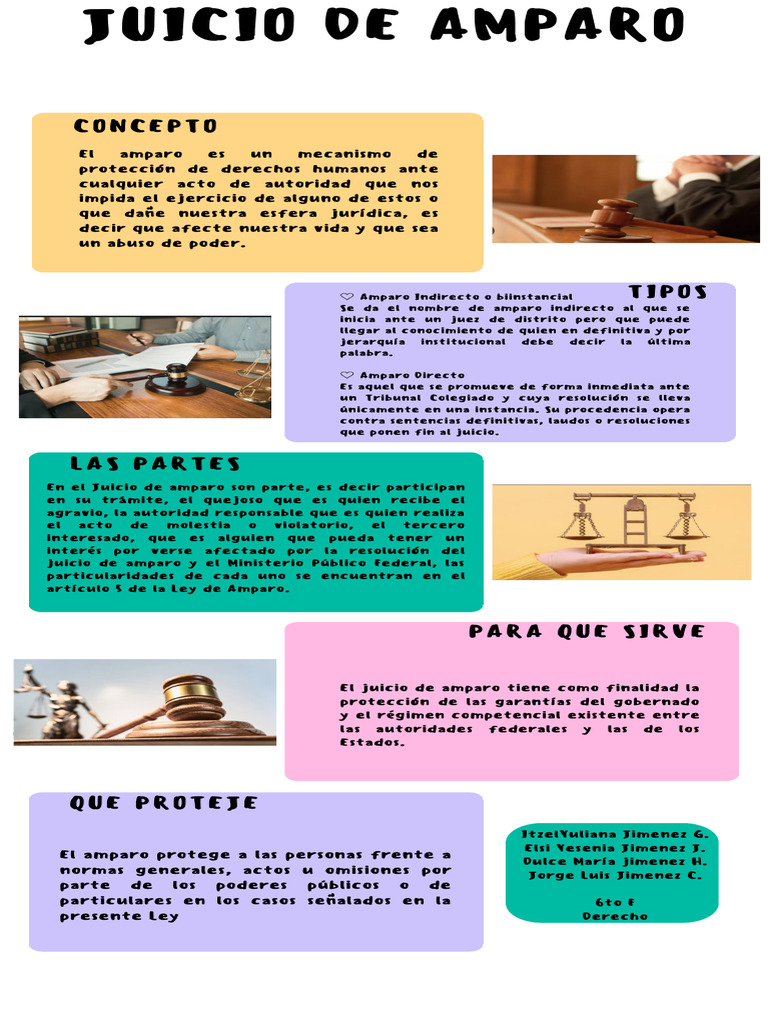 Tipos y Función del Juicio de Amparo | PDF | Gobierno | Justicia