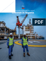 Chevron Nigeria CR Report 2017