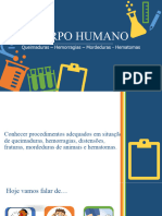 Corpo Humano Feridas