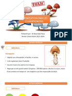 Intoxication Par Les Champignons 2019