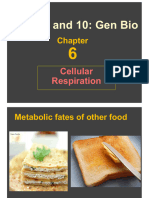 Class 9-10-Sep4-6-Anaerobic Respiration and Photosynthesis