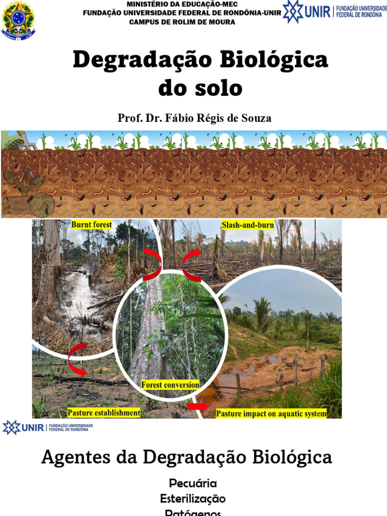 Degradação Biológica do Solo: Causas e Impactos | PDF | Solo | Agricultura