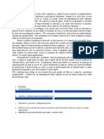 P. R. Este Elev În Clasa A XI-a. Este Impulsiv Şi, Când Ceva Nu ÎI Convine, Îşi Exprimă Direct