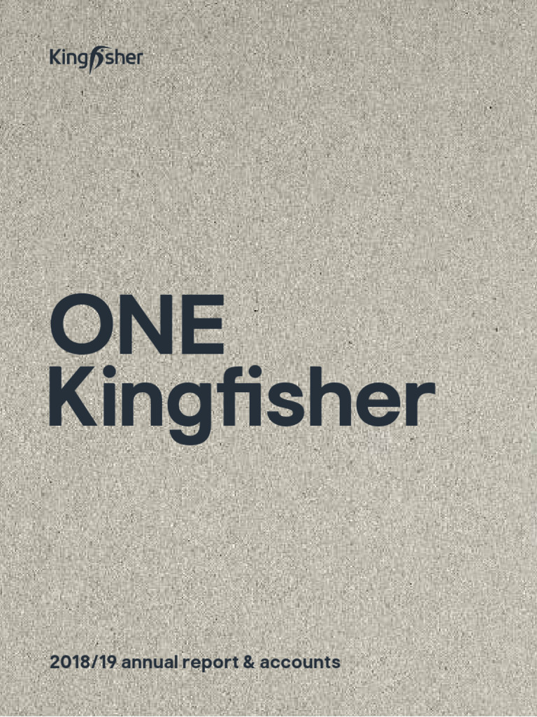 Kingfisher Annual Report 2019 Pdf Downloadasset 1 Pdf Retail