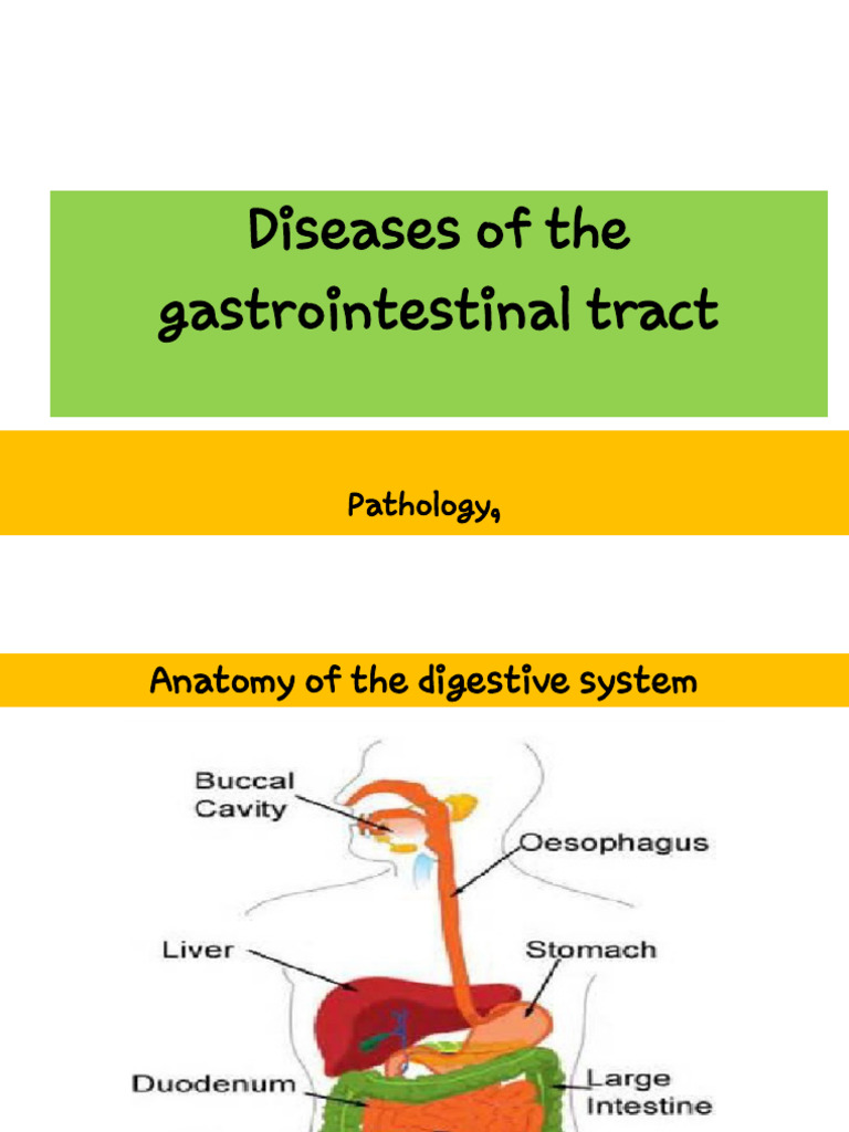 GIT Diseases | PDF | Esophagus | Esophageal Cancer