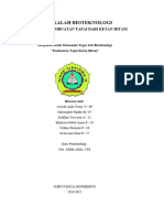 Tugas Makalah Bioteknologi Tapai KH SMP