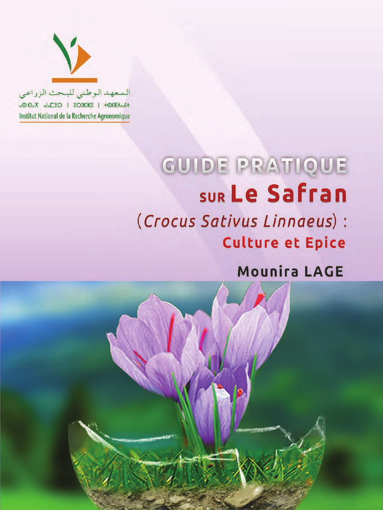 Guide Pratique sur la Culture du Safran | PDF | Agriculture | Plantes