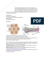 Daño Hepatico Crónico