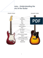 Guitar Anatomy