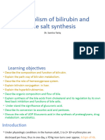 Metabolism of Bilirubin and Bile Salt Synthesis