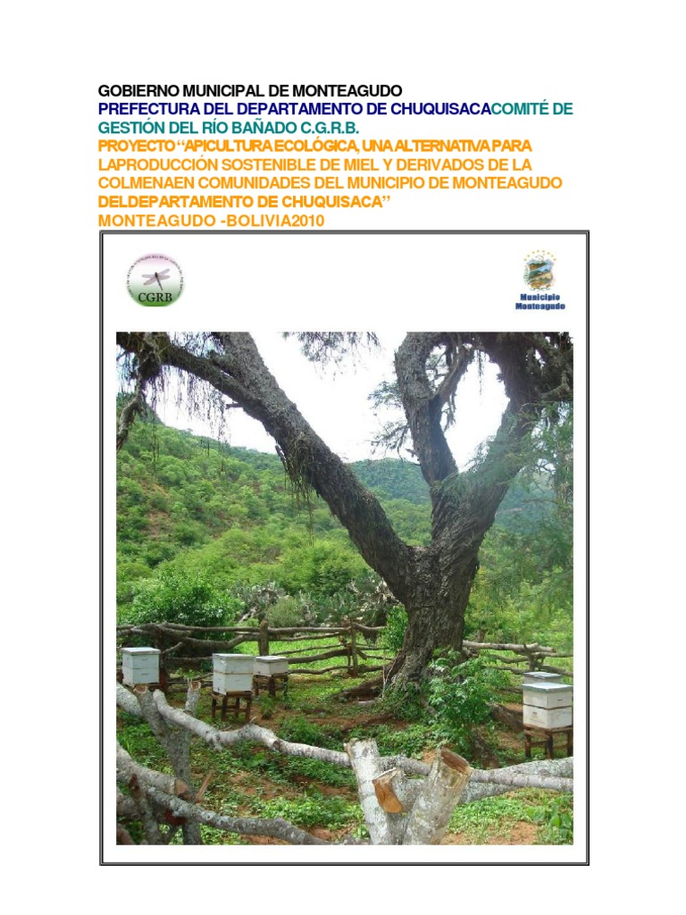 Apicultura Ecológica en Monteagudo | PDF | Apicultura | Desarrollo ...