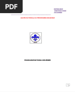 Codes et Cryptages Scouts | PDF | Cryptographie | Communication sécurisée