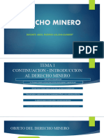 Derecho Minero - 2021