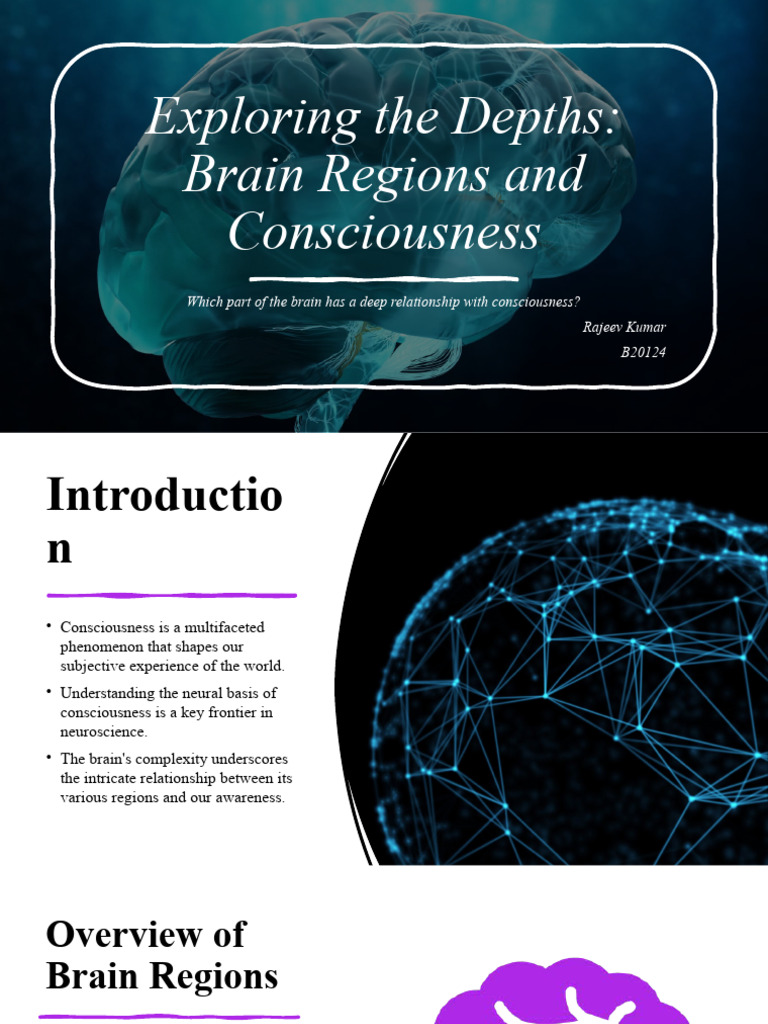 Brain Regions Influencing Consciousness | PDF | Consciousness | Brain