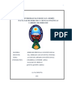 Informe para Exposicion Tema: Amparo Constitucional Bolivia