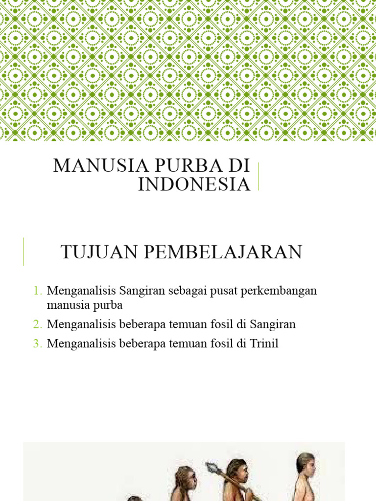 Lokasi Penemuan Manusia Purba Di Indonesia | PDF