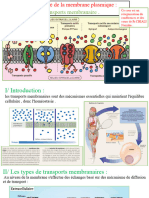 Perméabilité Membranaire 