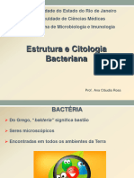 Aula Estrutura e Citologia Bacteriana CiÃ Ncias BiolÃ Gicas 2024 - 1