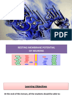 Resting Membrane Potential