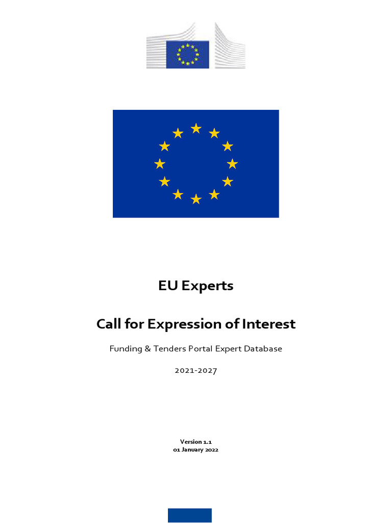 Call For Expression of Interest - en | PDF | European Union | Euro