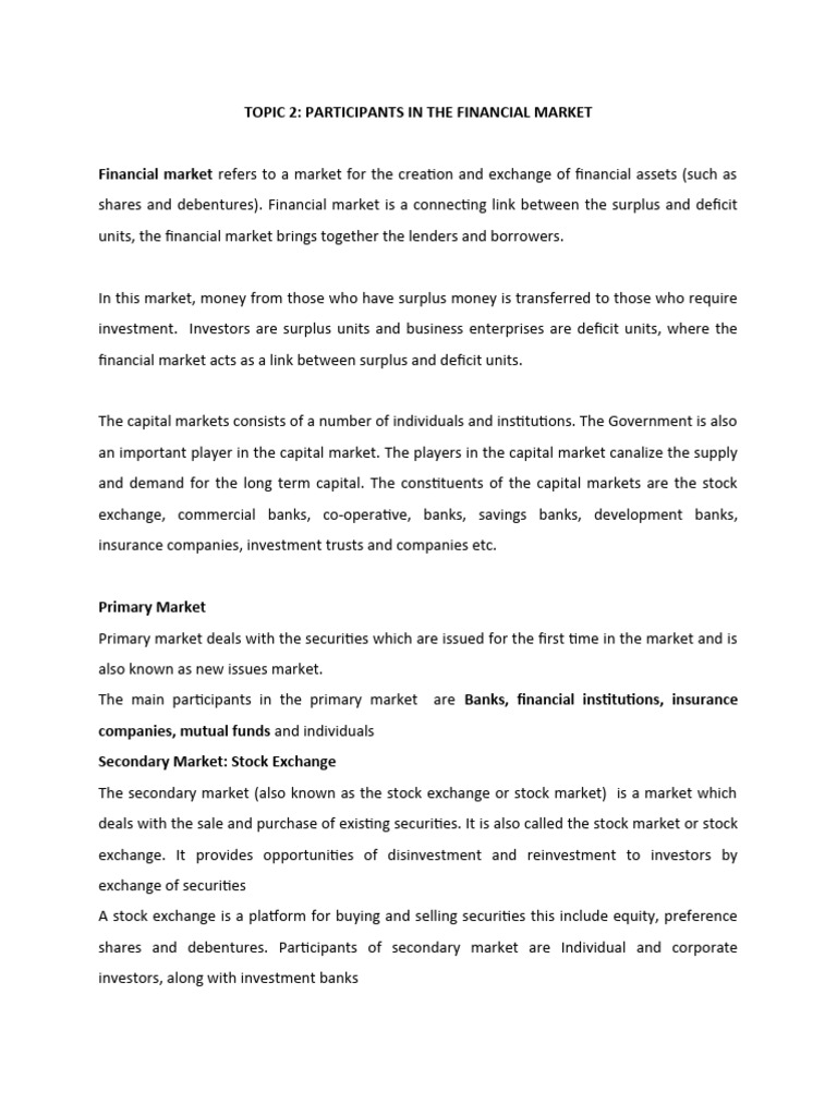 Topic 2 Participants of Financial Maeket | PDF | Financial Markets ...