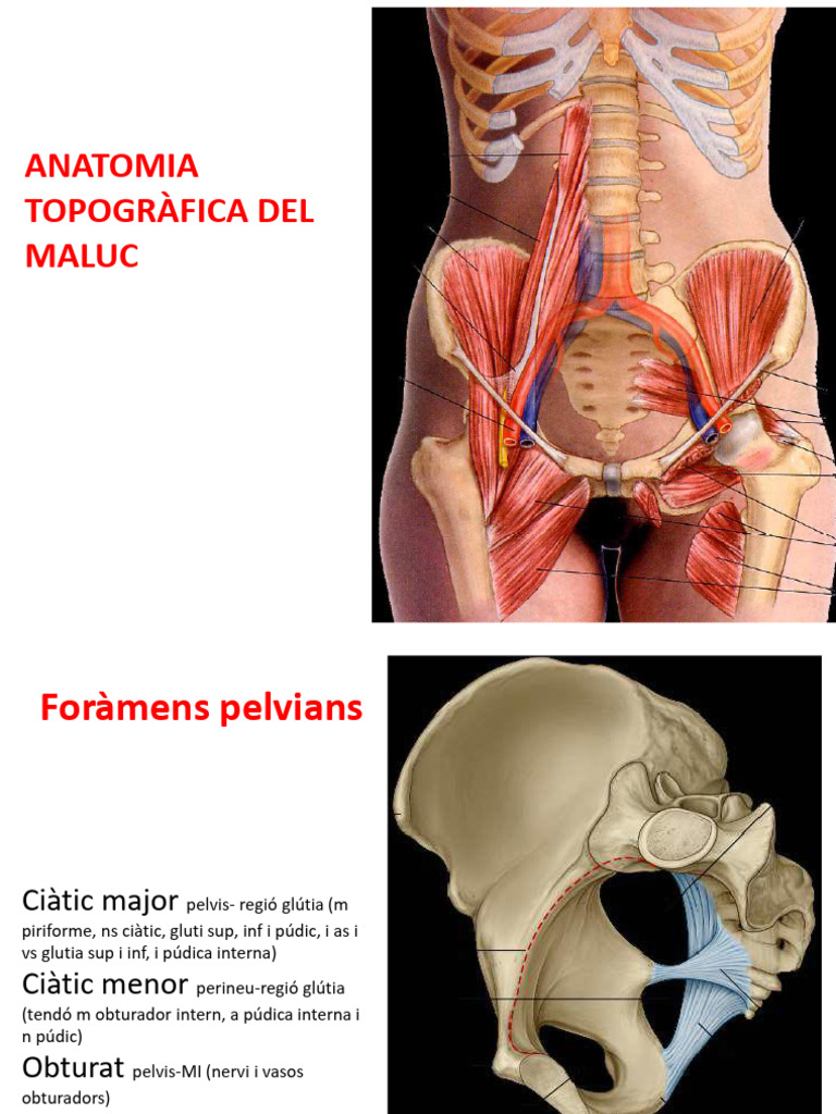 23-Topografia Maluc | PDF