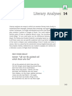 Literary Analysis (From The Norton Field Guide To Writing) Copy-2