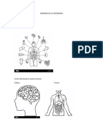 Imágenes de La Infografía de Anatomia