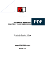 Pruebas de Trazadores en La Recuperacion de Hidrocarburo