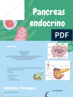 Pancreas Endocrino Insulina
