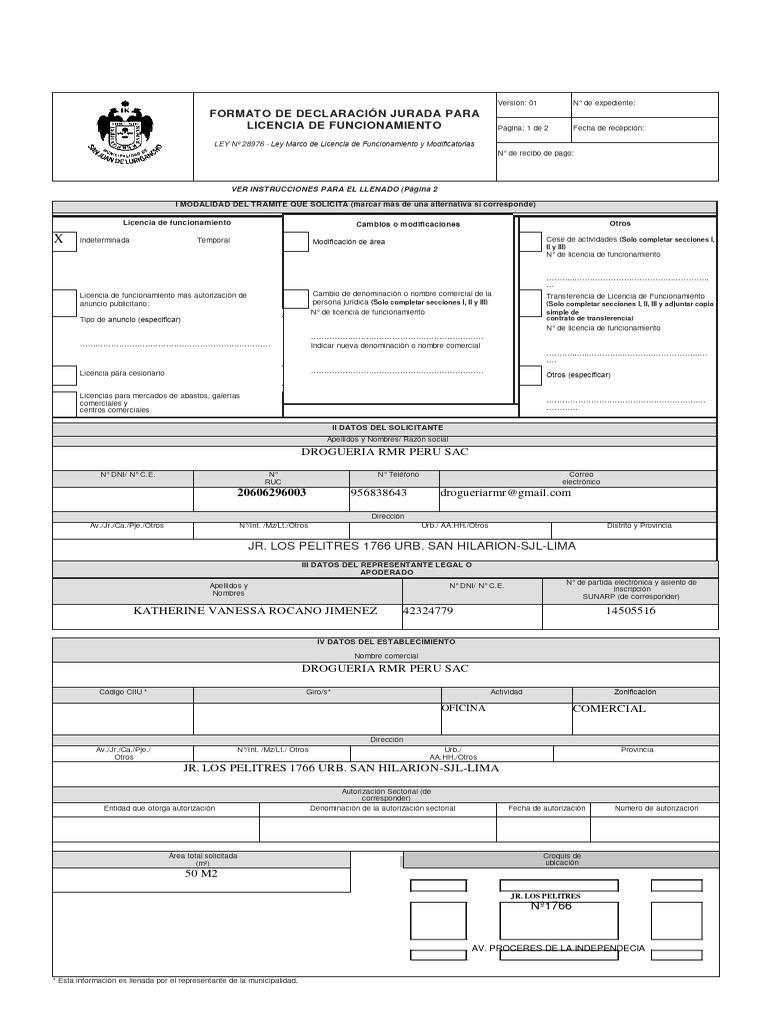 Formato de Declaración Jurada SJL | PDF