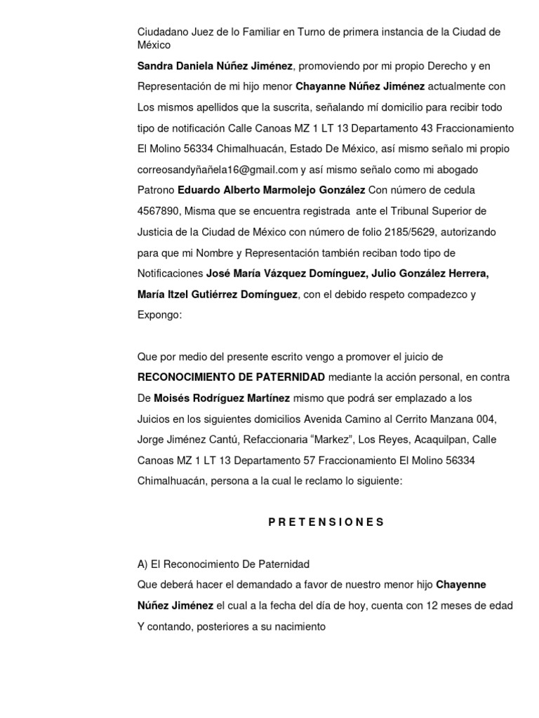 demanda-reconocimiento-de-paternidad-pdf