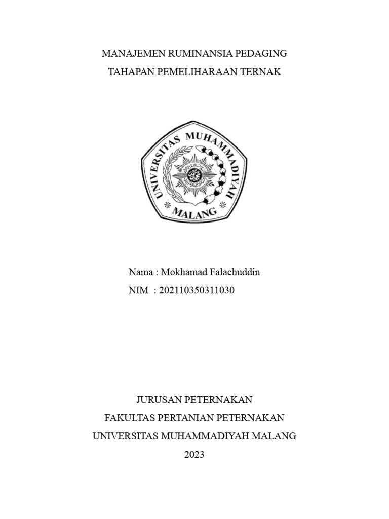 Manajemen Pemeliharaan Ruminansia Pedaging | PDF