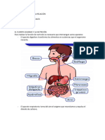 FORMATO Cuerpo Humano