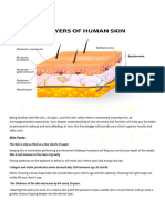 Skin Anatomy (Autorecovered)