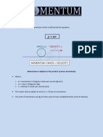 Momentum Handout PDF