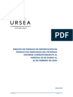 PPI - 26 de Enero Al 25 de Febrero de 2024