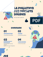 La Pollution Des Déchets Solide