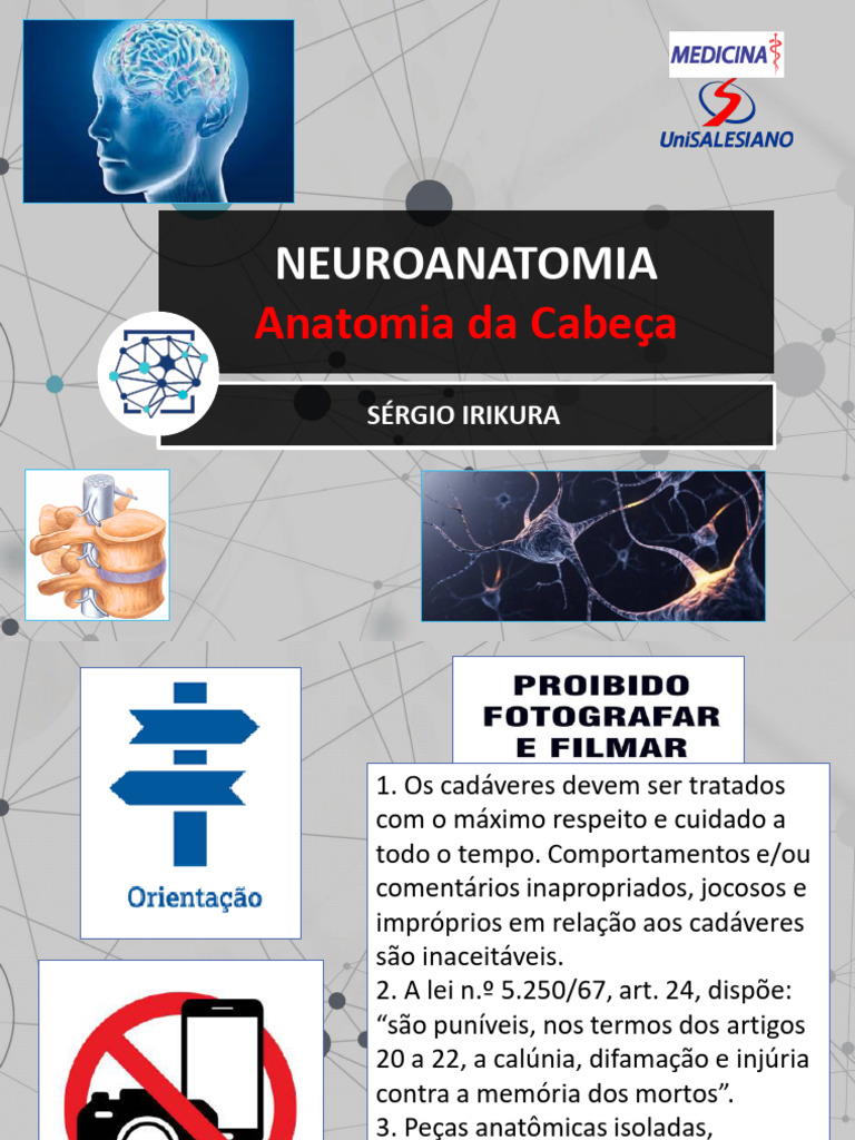 28 04 23 Ossos Cabeã A + Musculatura Face | PDF | Rosto | Crânio
