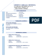 CV Carlos Alberto Carbajal Mendoza