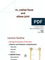 3 Arm, Cubital Fossa & Elbow Joint