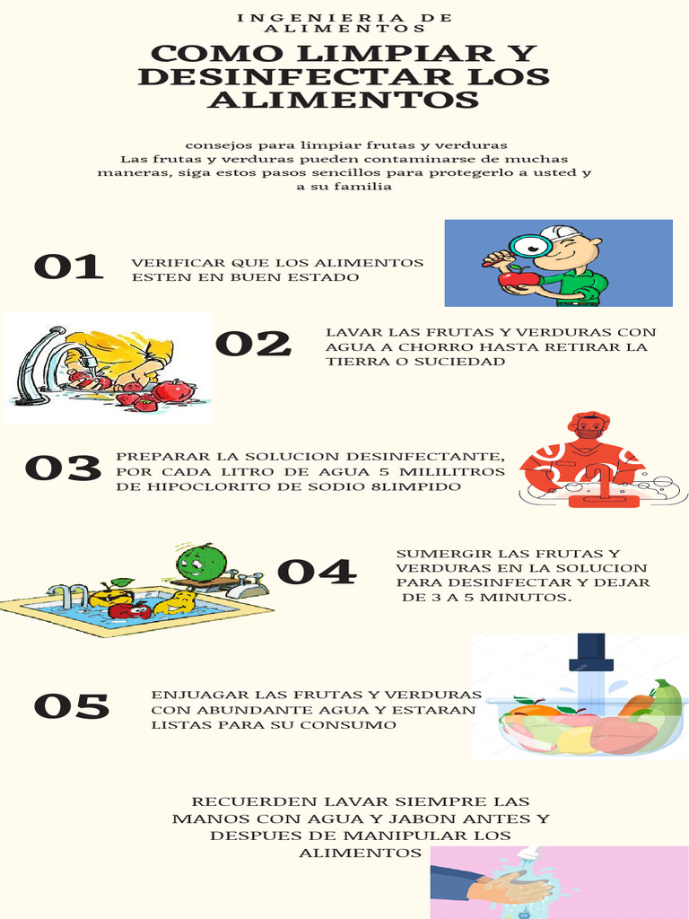 Cómo lavar y desinfectar frutas y verduras | PDF | Cocina, comidas y vino