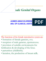 Female Genital System