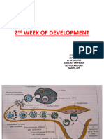 2nd Week of Development