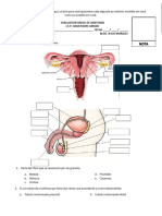 Evaluacion Anual Anatomia 5to Sec 2023 Gpa