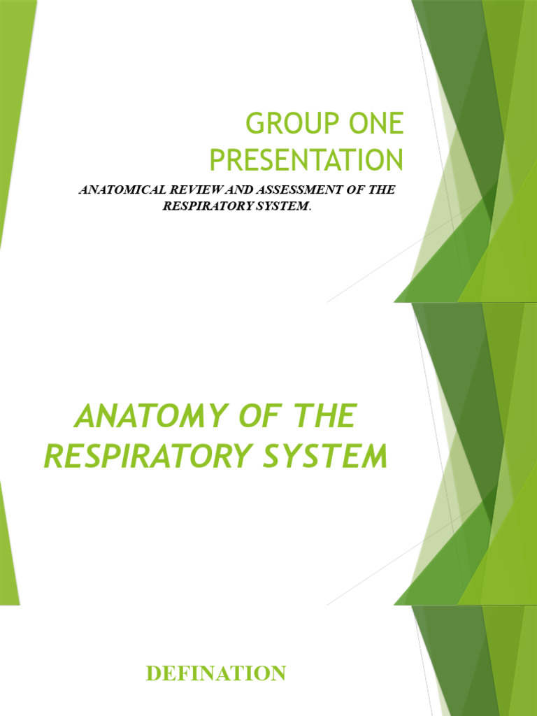 Anatomy of The Respiratory System Biology Diagrams