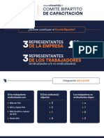 Ficha ComiteBipartito