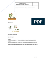 A1 - Respostes Activitats Tropismes I Factors Fotosíntesi