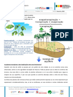 Documento de Trabalho Transporte Plantas